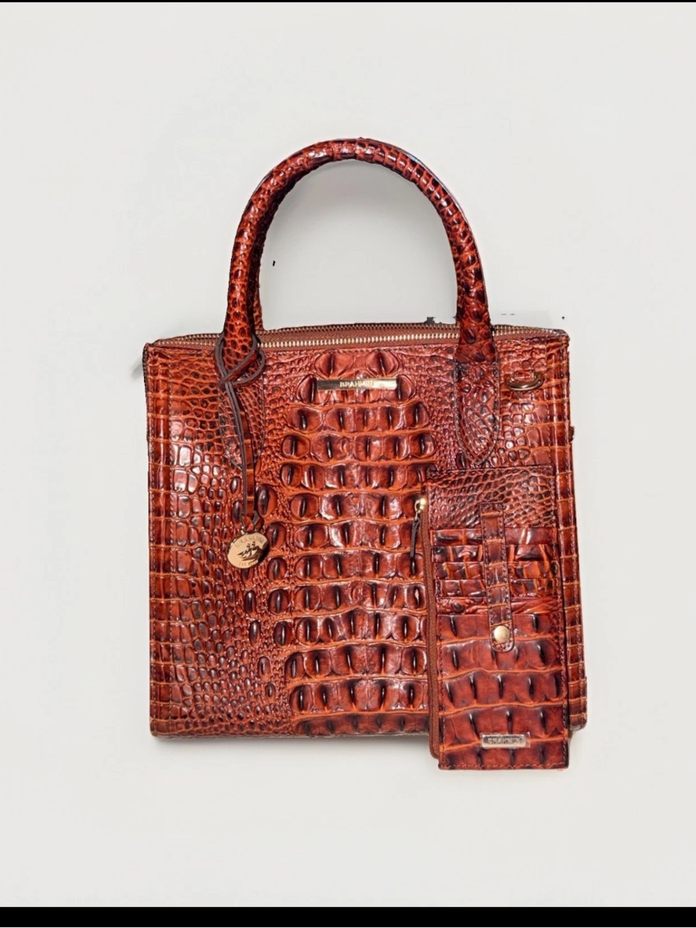Brahmin Croc-Embossed Satchel in Cognac